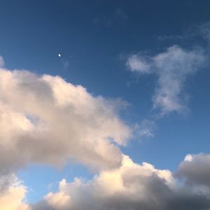 Meet your Posher, Kirsten